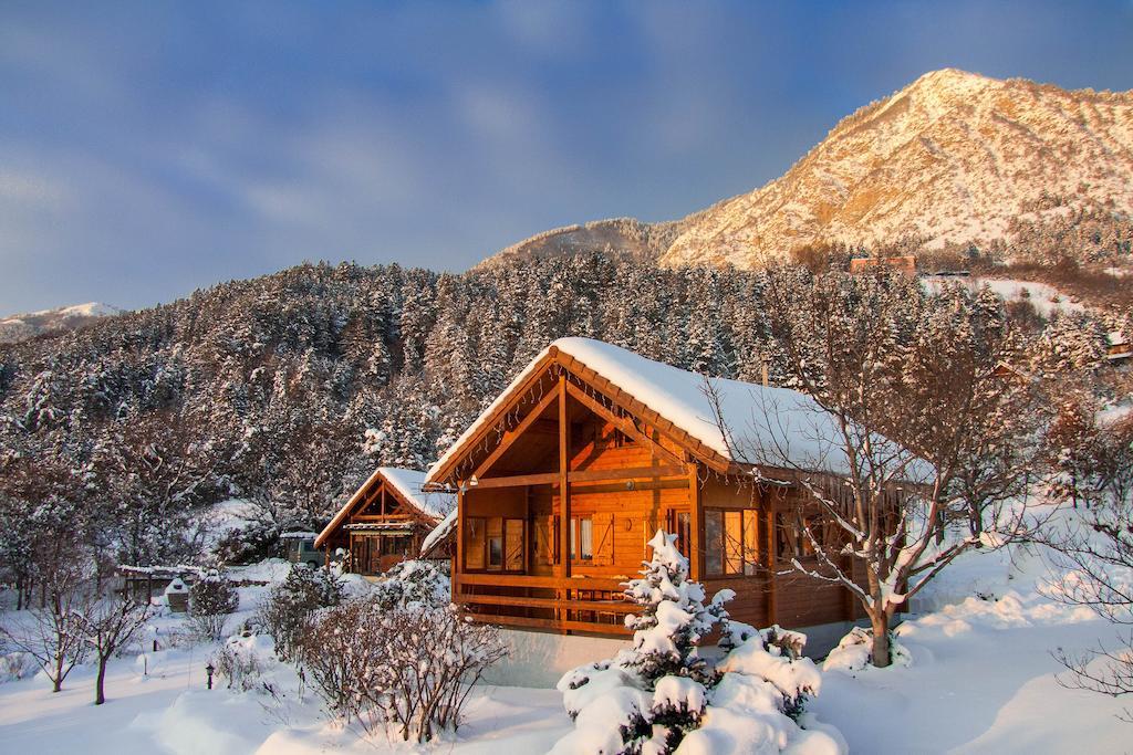 Chalet Carpe Diem La Bâtie-Neuve الغرفة الصورة